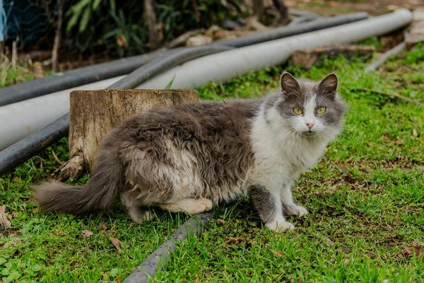 Sante Relations Positives